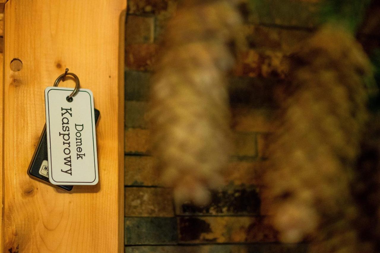 Domki Widokowe Wooden Luxury Chalet & Jacuzzi ゾンプ エクステリア 写真